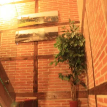 招待所 Adults Only