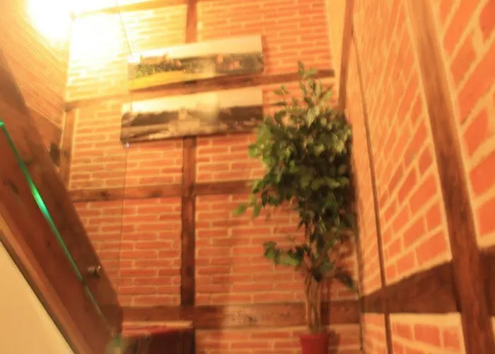 Affittacamere Adults Only